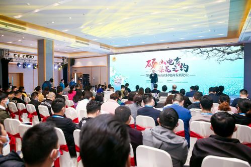 首届中国砀山农村电商发展论坛成功举办